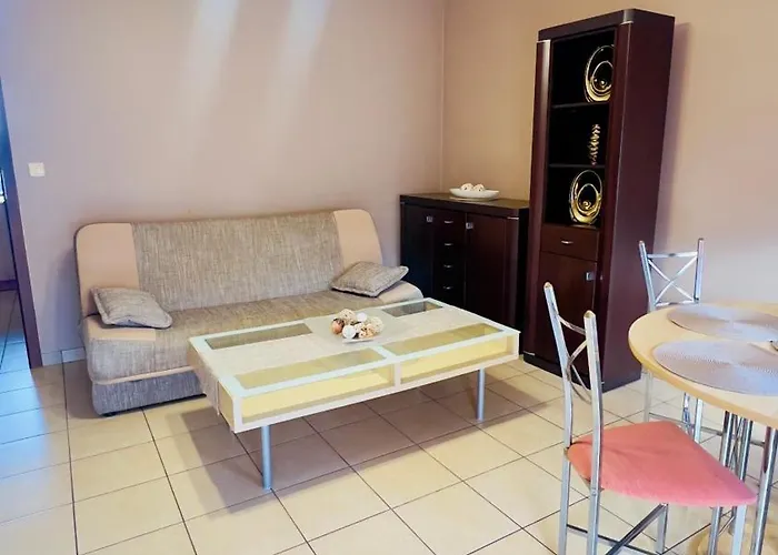 Makowa 2 Street 公寓 科宁